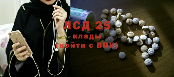 хмурый Алексин