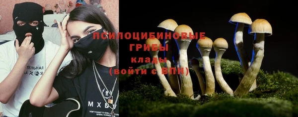 молекула духа Алексеевка