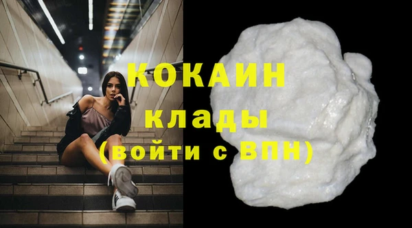 хмурый Алексин