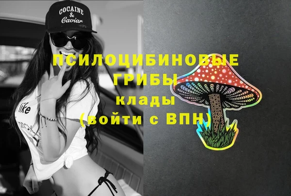 молекула духа Алексеевка