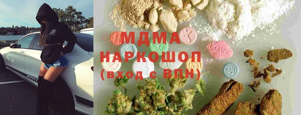 хмурый Алексин