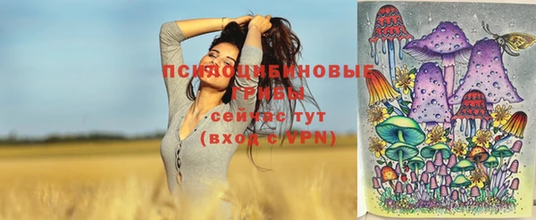 молекула духа Алексеевка