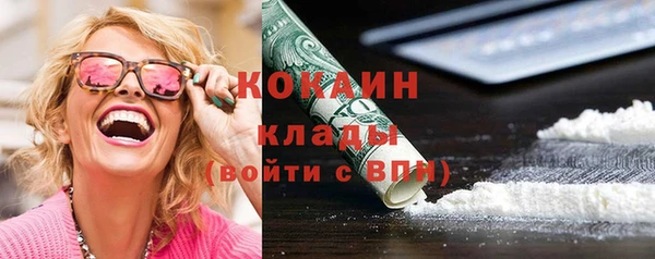хмурый Алексин