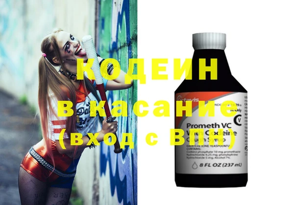хмурый Алексин