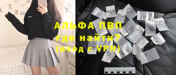 хмурый Алексин